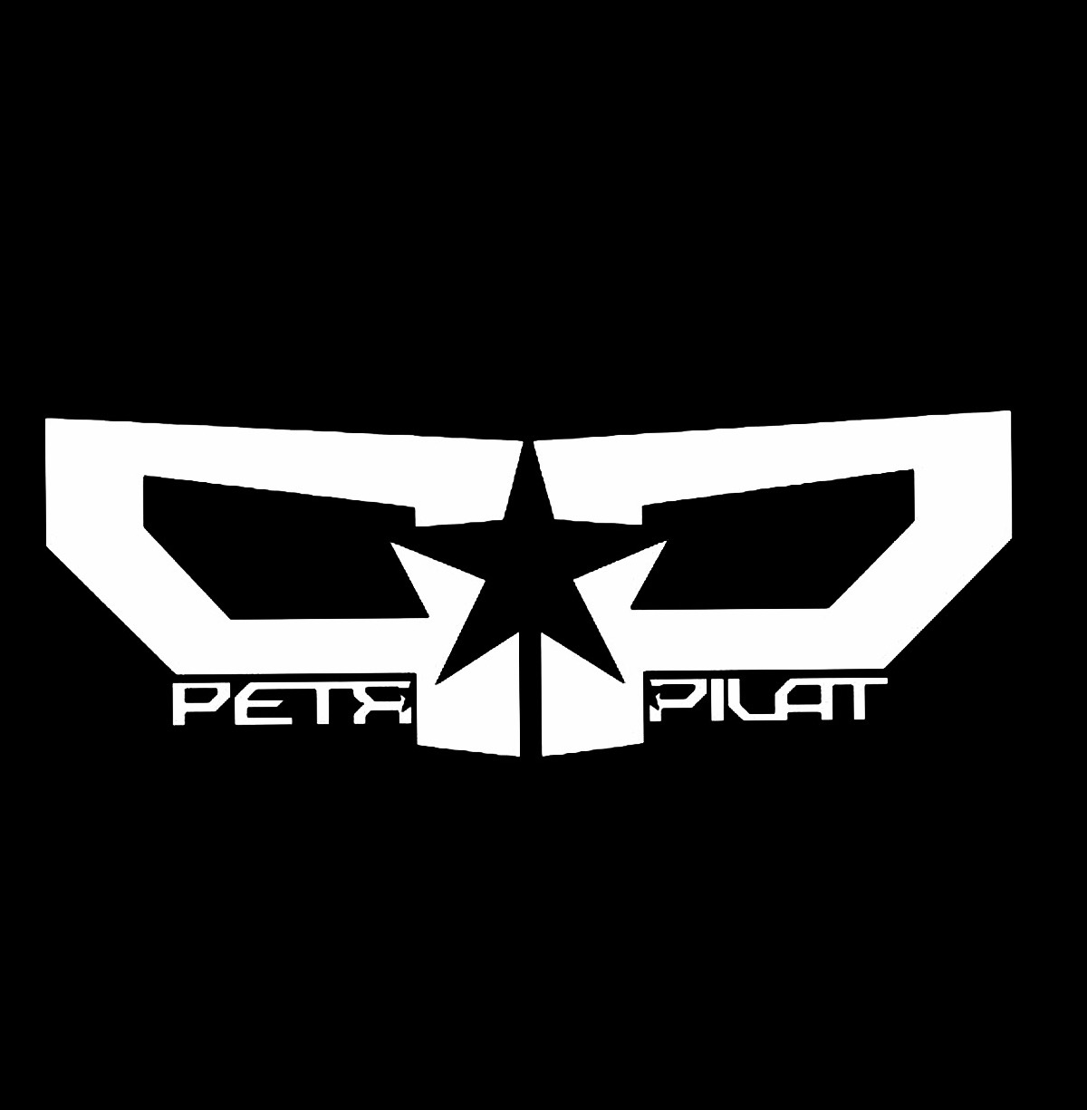 Logo PETR PILÁT